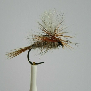 dry trout flies