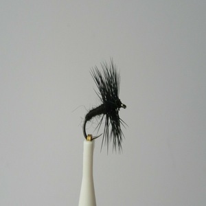 Micro Black Spider Dry Fly Barbless