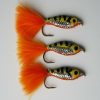 perch fry minnow epoxy